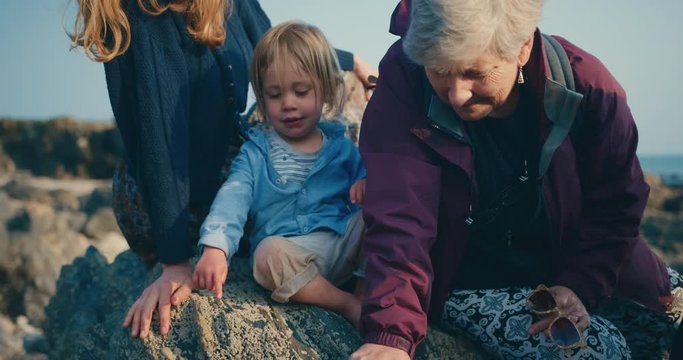 Toddler pointing on beach with mother and grandparents