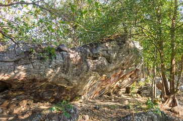 Stone Rock Cliff Mountain Hill or Pha Ngerp Phayao Attractions Northern Thailand Travel Wide