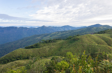 Fototapeta na wymiar 3 Tree Mountain at Phu Langka National Park View Point Tree Foreground