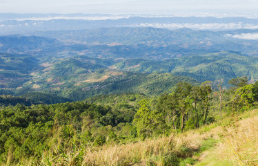 Fototapeta premium Grass Field on Mountain with Sky and Cloud at Phu Langka National Park Phayao Thailand 5