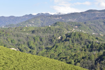 view of mountains