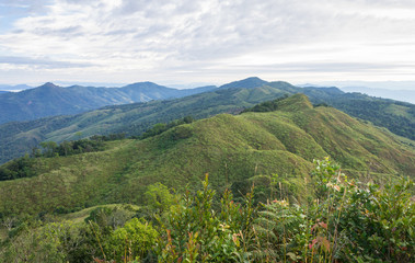 Fototapeta na wymiar Phu Langka Mountain National Park View Point with Tree Foreground