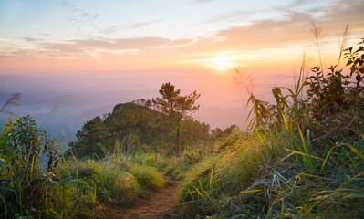 Gold Sunset and Purple Light Phu Nom at Phu Langka National Park Thailand with Fog on Sky Wide