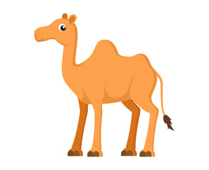 Vector illustration of cute camel cartoon on white background