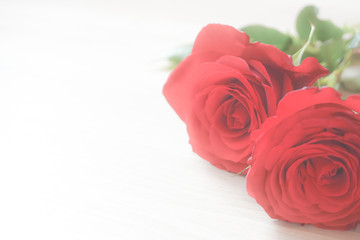 Rose.   Background material such as wedding, Christmas, Mother's day or thanks day.  バラ。ウエディング、クリスマス、母の日や感謝の日などの背景素材