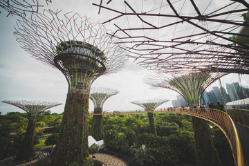 Gardens by the bay park in Singapore.