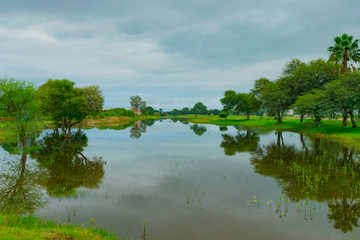 Laguna con Agua Cristalina