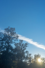 Camp Wambeling, Warrumbungle National Park, NSW Australia