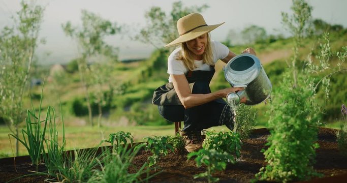 Happy smiling middle aged woman watering her lavender plant in cute herb garden, retirement activities
