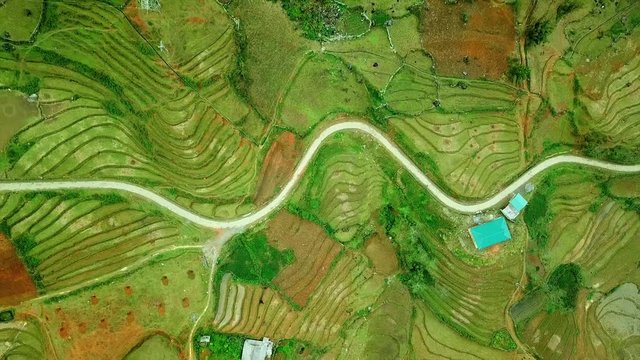 Helicopler top cinematic rice green field pattern plantation cascades Agricultural authentic grow culture Asia Lonely country road. Sapa Chapa township country village north Vietnam unesco. Drone