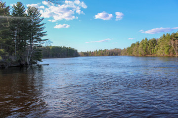 lake in the forest