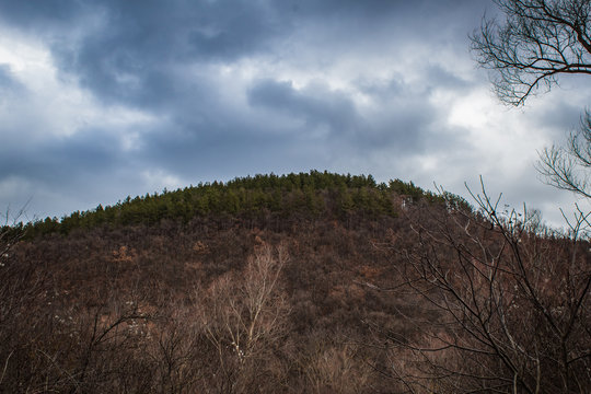 Autumn Hill
