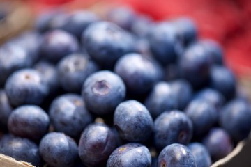 blueberries on white background