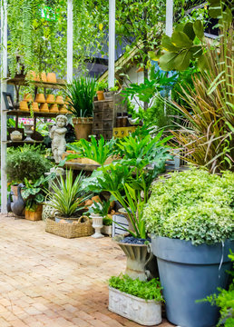 Working space and shelf with garden tools in cozy home garden on summer.