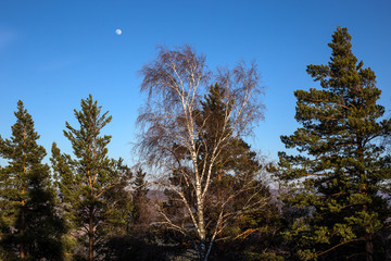 sunset in the mountains