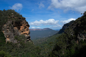 Fototapeta na wymiar view from top of the mountain in blue mountains in australia
