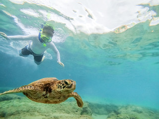 Boy snorkeling in ocean watching green sea turtle swimming above coral reef - obrazy, fototapety, plakaty