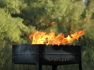 Empty grill with fire in the forest, in spring or summer. Average plan