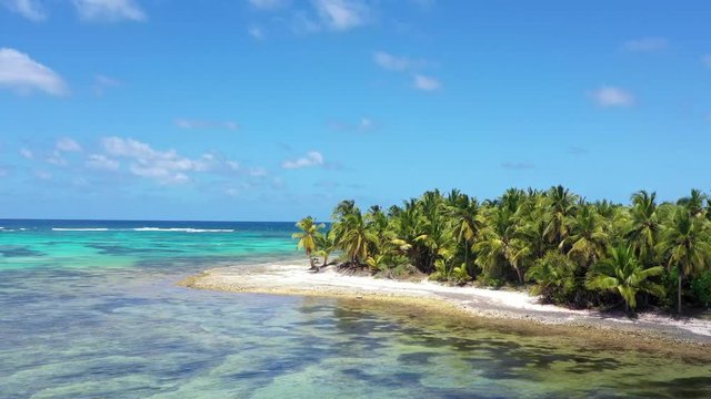 Aerial view from drone on tropical beach with coconut palm trees. Dominican Republic . Travel destination. Summer vacations