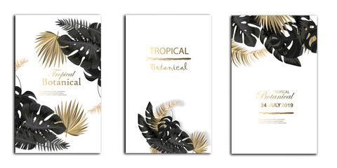 Vector arrangement with black and gold tropical leaves on dark background. Luxury exotic botanical design for cosmetics, spa, perfume, aroma, beauty salon.
