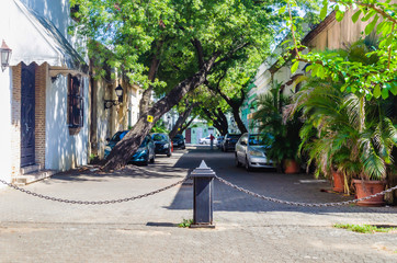 Alley Macorix, typical neighborhood of the Colonial zone of Santo Domingo Dominican Republic, covered with tropical trees that give a freshness and greenery to the neighborhood.
