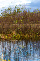 Pond in nature in autumn