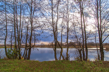 Pond in nature in autumn