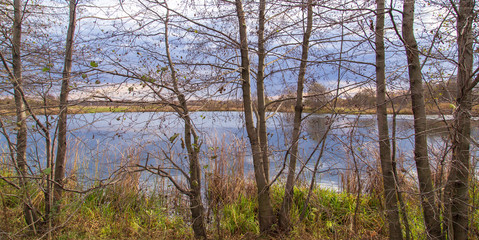 Obraz premium Pond in nature in autumn