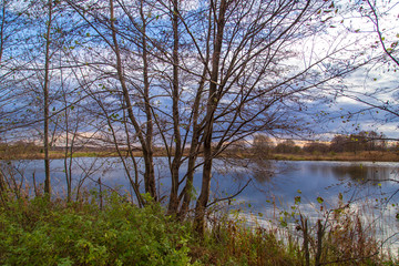Obraz premium Pond in nature in autumn