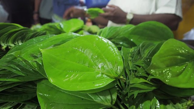Betel leaf for sale in market in Malleshwaram , a suburb of Bengaluru, Karnataka, India