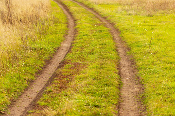 Fototapeta na wymiar Dirt road in the field on the grass