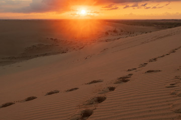 Fototapeta na wymiar footprint in sand desert in sunrise