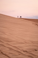 Fototapeta na wymiar people walk in the sand desert