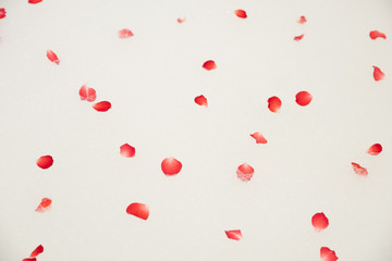 close-up of a large white jacuzzi bath decorated with red rose petals