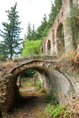 picturesque ruins of old castle overgrown with forest