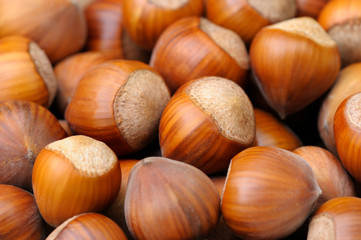 Hazelnuts on a market, Germany, Europe