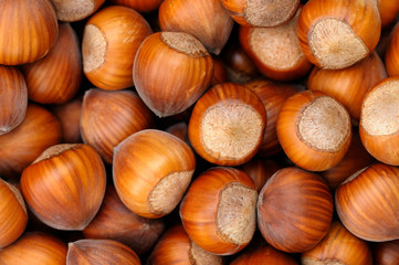 Hazelnuts on a market, Germany, Europe
