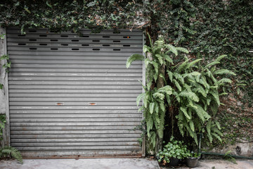 living plant wall home wall 