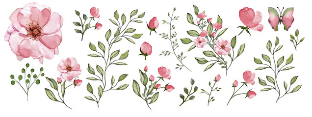 Watercolor illustration. Botanical collection.  Set: leaves, flowers,branches, herbs and other natural elements. Pink flowers. - 264698566