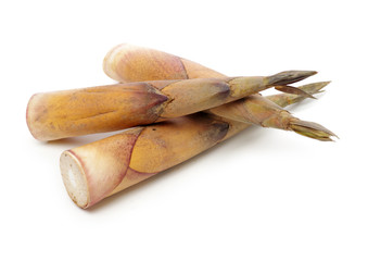 Bamboo shoot on the white background 