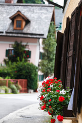 Fototapeta na wymiar Blooming geranium on the window of a house in Hallstatt, Austria.