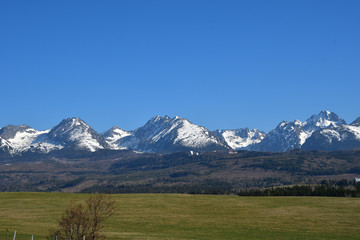 Fototapeta na wymiar snow-covered mountain peaks with grass landscape in the spring High Tatras Slovakia