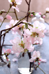 Spring bouquet of almond tree branches