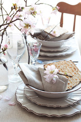 Table setting for passover 