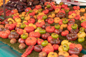 Naklejka na ściany i meble Tomates du marché