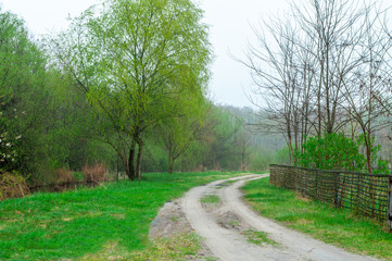 Fototapeta na wymiar Trampled among the greenery in the village