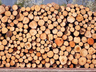 Firewood stacked prepared for winter