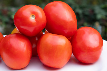 Tomatoes on a white plate that are ready for cooking