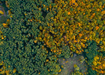 Autumn nature of central Russia from a height.