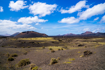Spain, Lanzarote, Stunning caldera and lava landscape surrounding volcano el cuervo covered by green vegetation